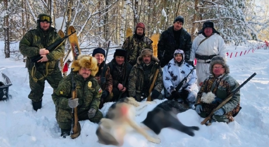 В Кировской области исчезла стая черной волчицы