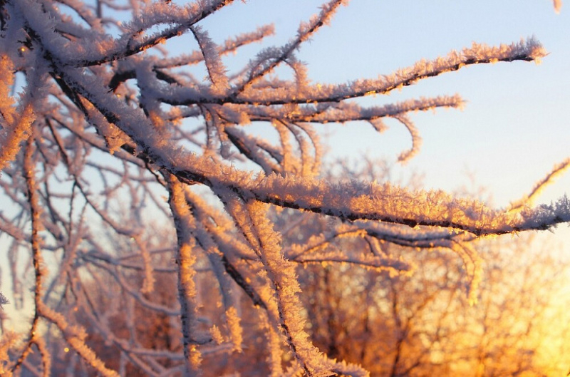 МЧС объявило новое метеопредупреждение на выходные из-за аномальных холодов