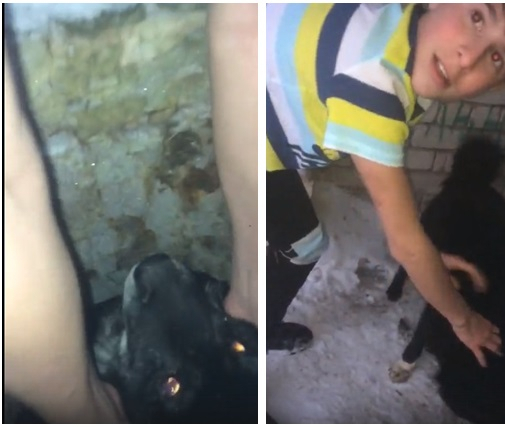 "Спасатели отказали в помощи": школьник из Кировской области вызволил пса из выгребной ямы