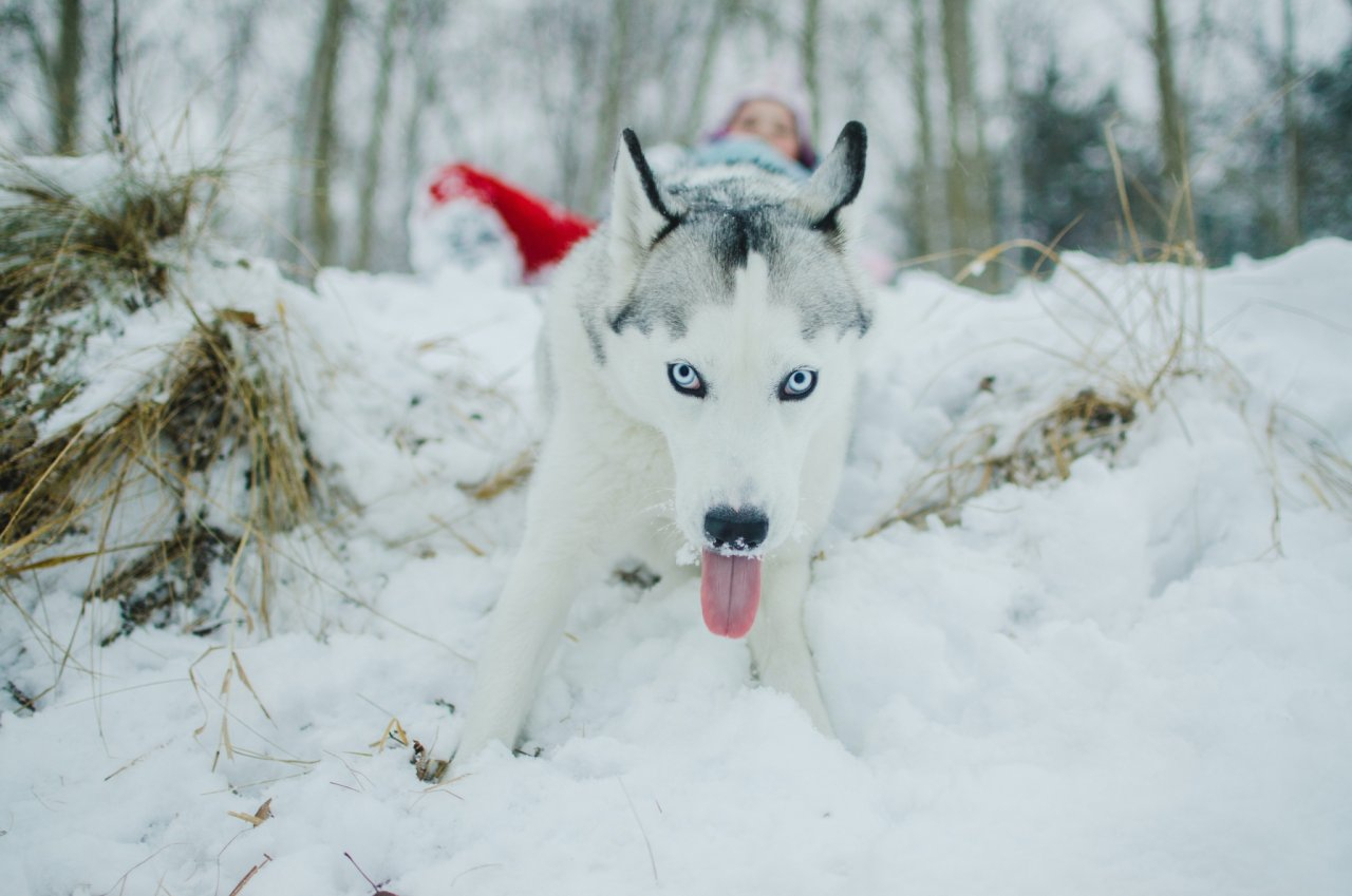 Планы Раков сорвутся, а Скорпионы смогут изменить судьбу: гороскоп на четверг
