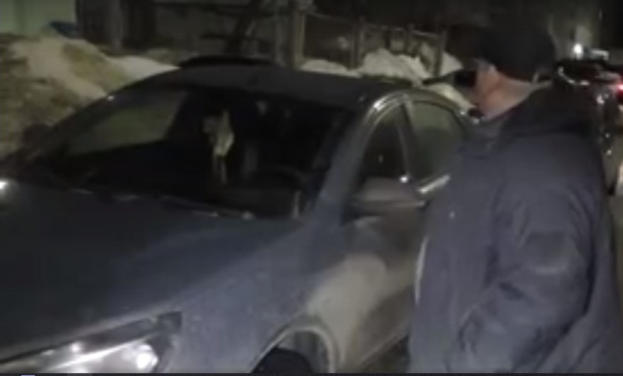 В Кирове бдительные соседи поймали водителя-нарушителя ПДД