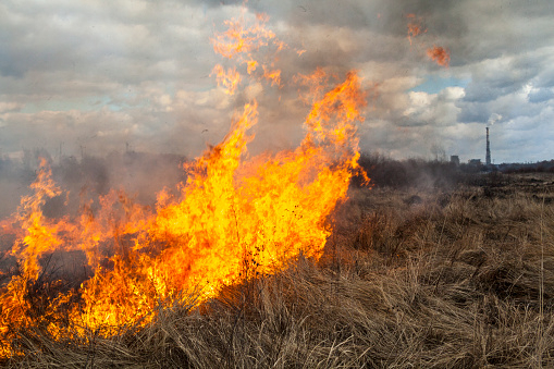 В Кировской области начался сезон горящей травы: МЧС сообщило о первом пожаре