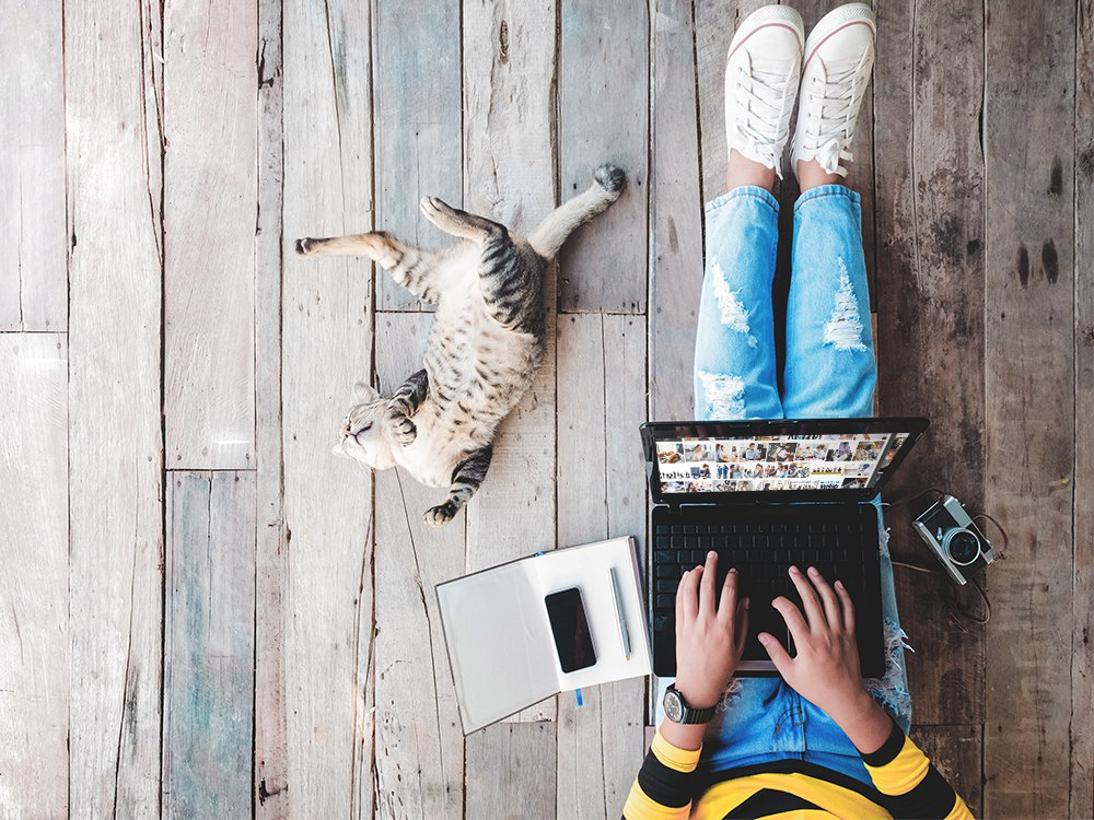 Билайн и «АльфаСтрахование» запустили онлайн-оформление ипотечного страхования со скидкой 20%