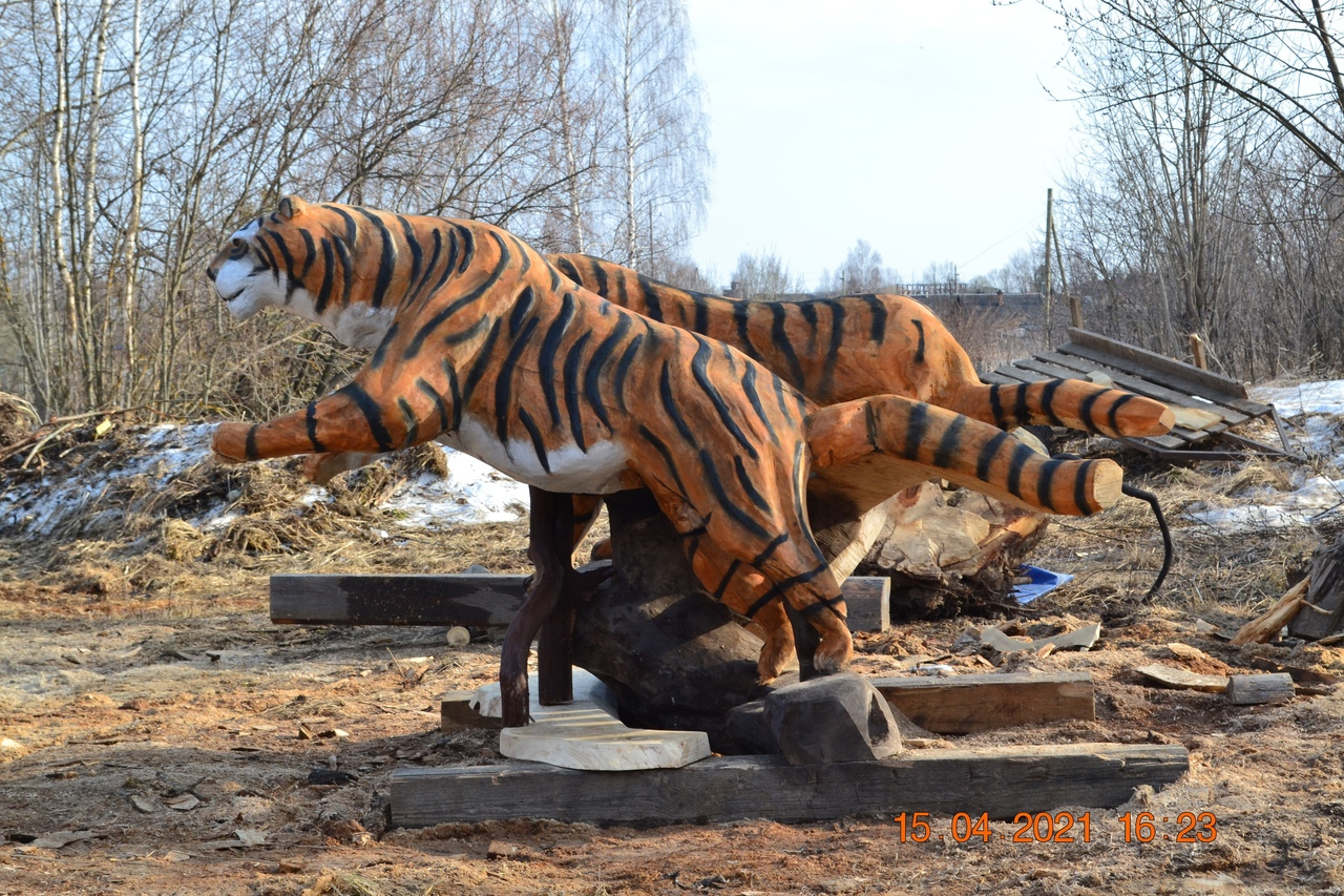 Тигры ждут хозяина: умелец из Кировской области создает необычные фигуры из дерева