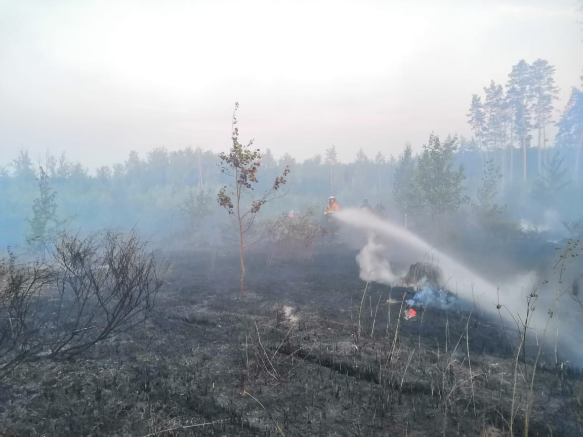 Дым сибирских пожаров накрывает южные районы Кировской области
