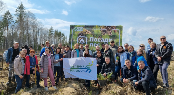 Сотрудники Сбербанка помогли высадить 15 000  новых деревьев в Кировской области