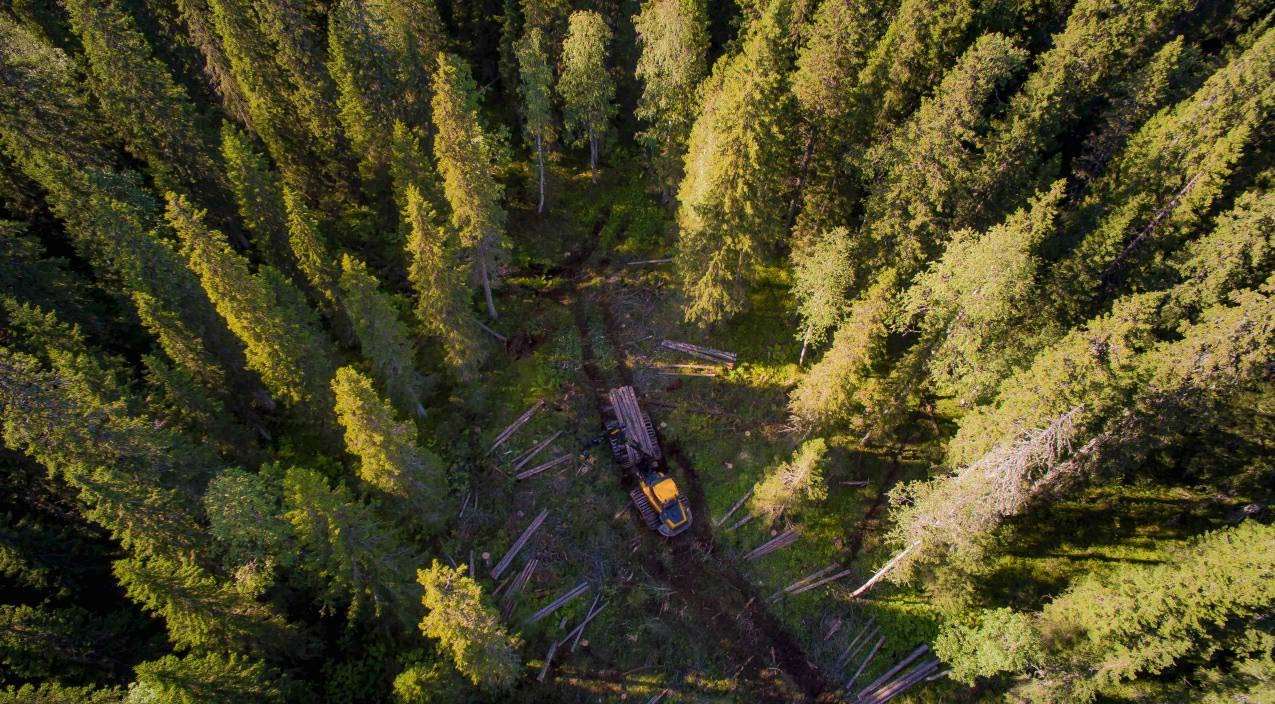 Segezha Group готова к началу пожароопасного сезона в Кировской области