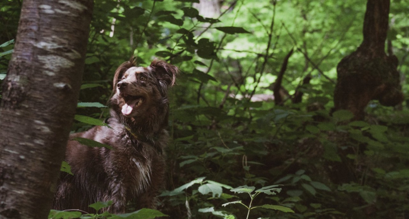 Близнецам лучше помалкивать, а Овнам повезет в деньгах: гороскоп на среду