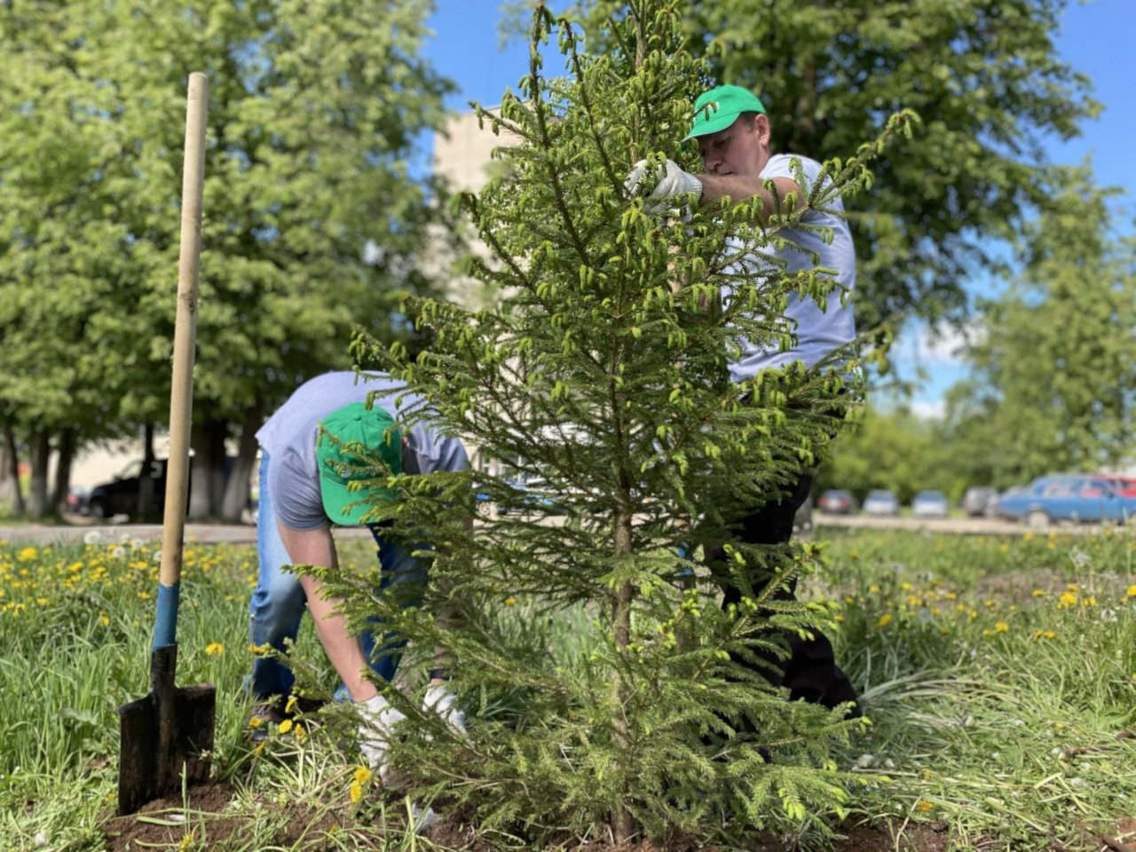 Segezha Group поддержала Международную акцию  «Сад памяти» в Кирове