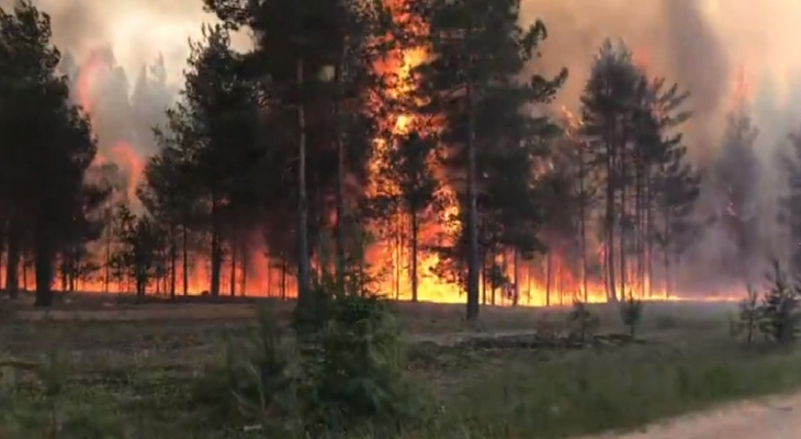 В лесах Кировской области сохраняется чрезвычайная пожарная опасность