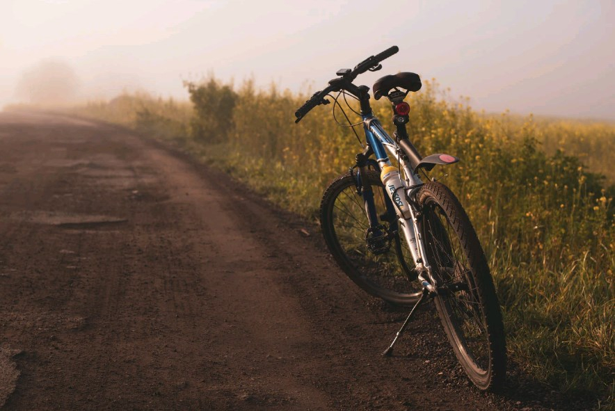 Топ-5 велосипедов для тех, кто хочет сэкономить на бензине летом