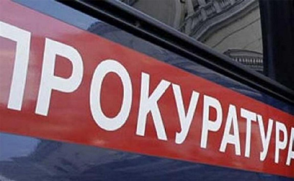 В кировском лесу прокуратура выявила свалку из останков животных