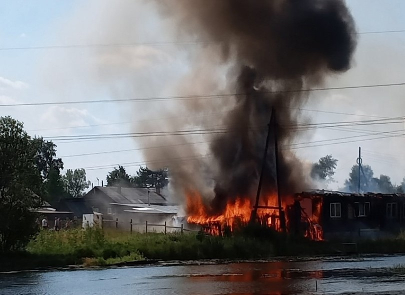 Соцсети: из-за тополиного пуха в Кировской области загорелся дом