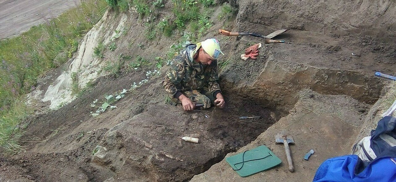 Кировские палеонтологи нашли скелет морского динозавра