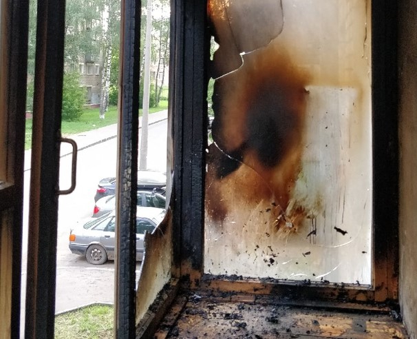 Благодаря кошке жителям Кирова удалось спасти свою квартиру от пожара