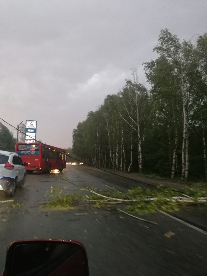 Сломанные деревья, оборванные провода и закрытый на два часа переезд: итоги урагана в Кирове