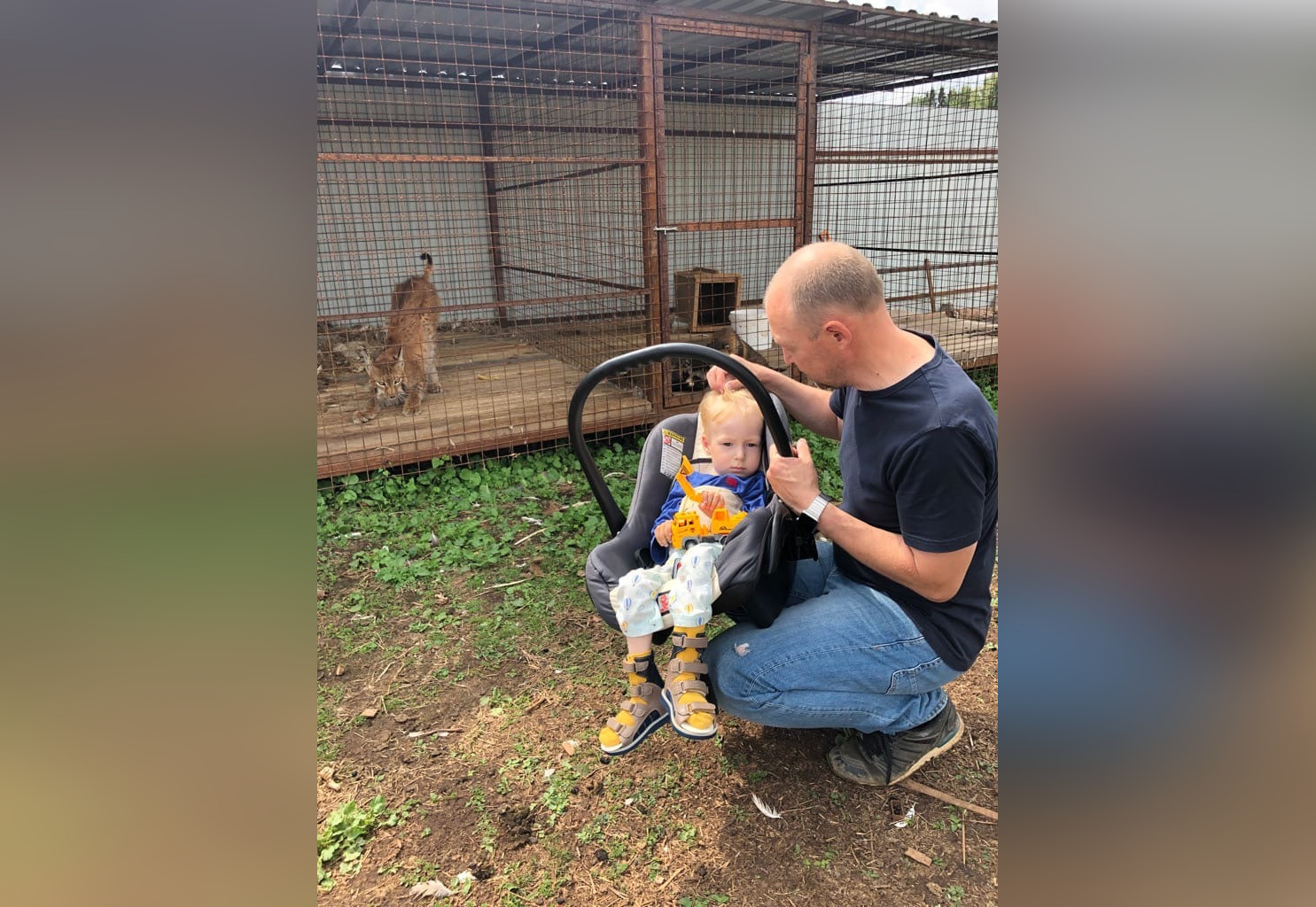 Маленький кировчанин Максим Гришин  с семьей посетил домашний зоопарк