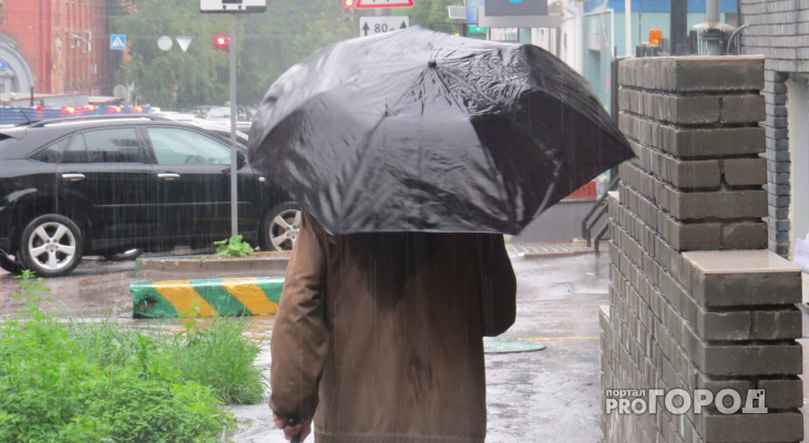 Дожди и до +22: синоптики рассказали о погоде на выходные в Кирове