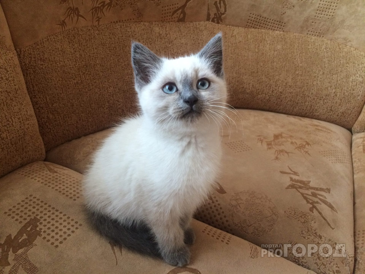 Весам лучше не верить незнакомцам, а Овнам стоит вспомнить о бывших: гороскоп на 12 августа