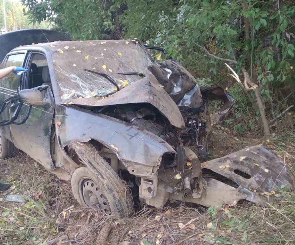 В Кировской области съезд в кювет машины Daewoo Nexia привел к гибели пассажира