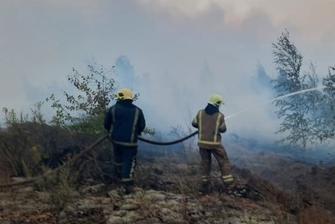 Кировские пожарные помогают тушить лесной пожар в Марий Эл