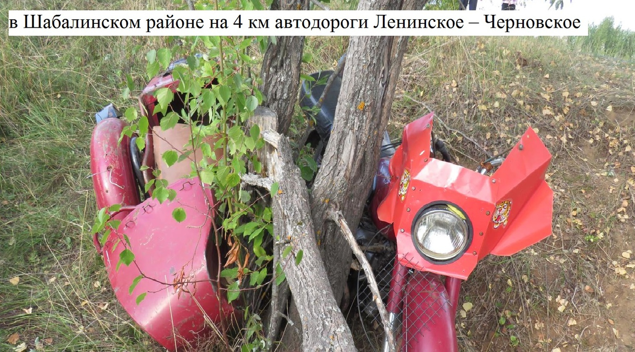 В Кировской области женщина на мотоцикле врезалась в дерево и погибла