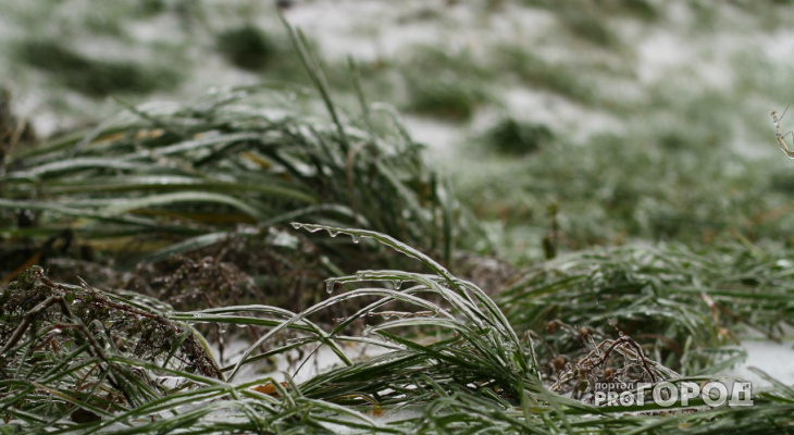 В Кировской области объявлено метеопредупреждение в связи с заморозками