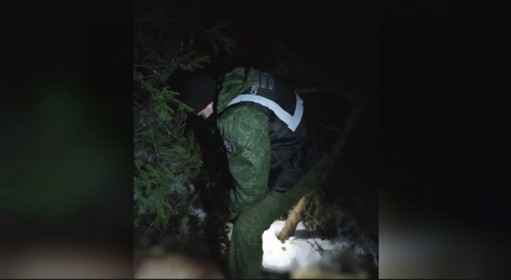 В лесу Кировской области нашли тело 23-летнего парня
