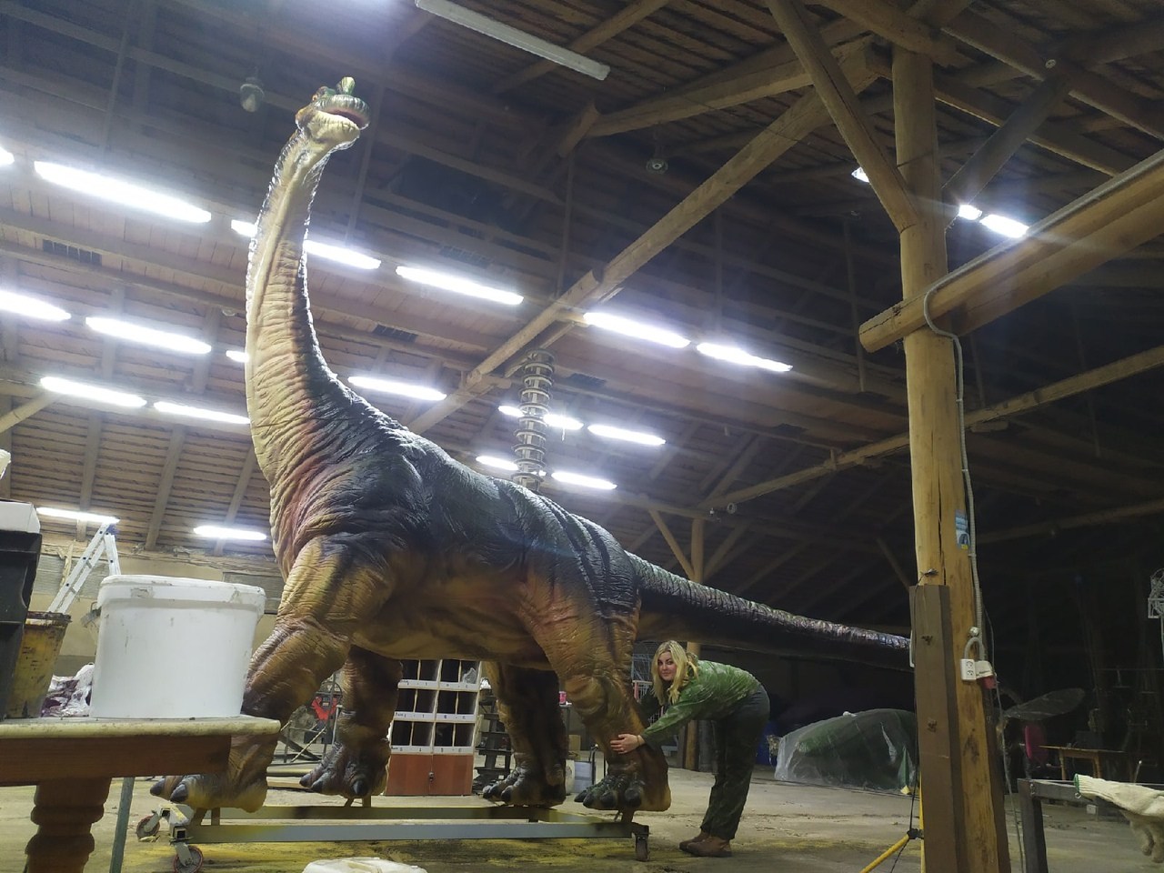 Кировчанка раскрашивает фигуры динозавров высотой с трехэтажный дом