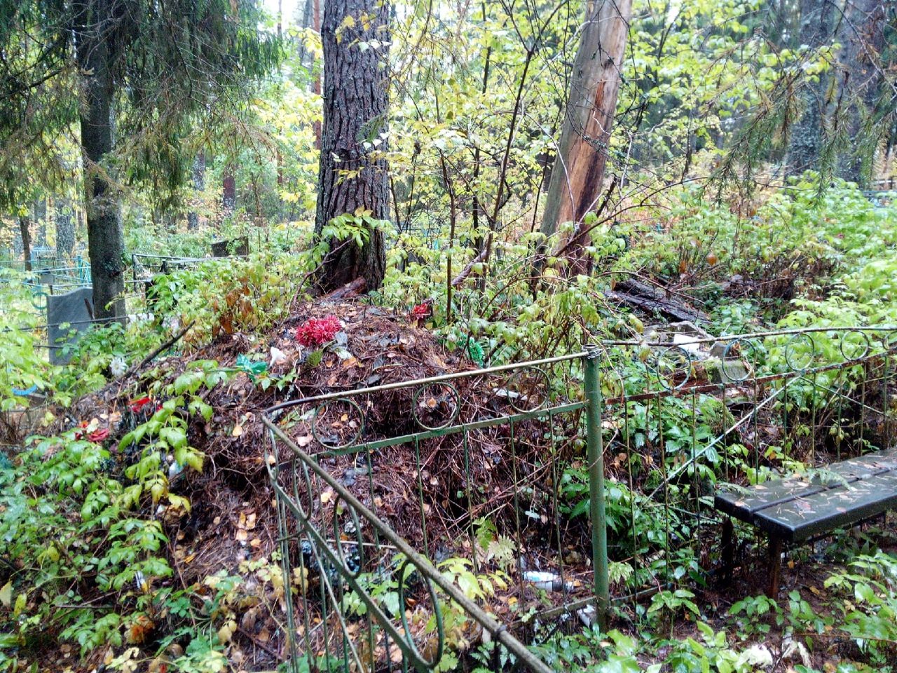В Кировской области не могут очистить заваленное мусором кладбище