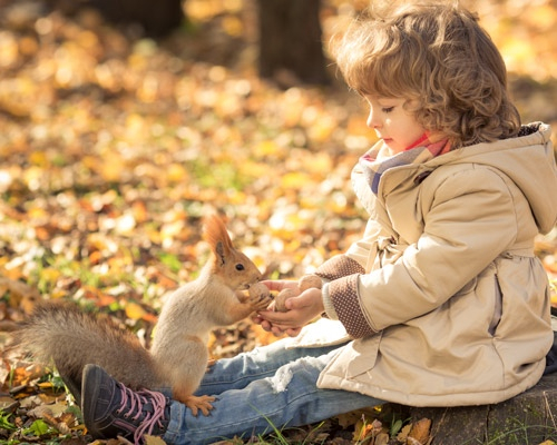 Никаких «ми-ми-ми»: четыре способа знакомства детей с миром животных