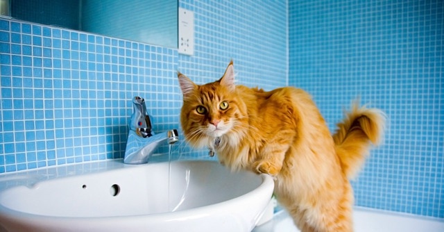 15 -16 октября в некоторых домах отключат воду для проведения плановых работ