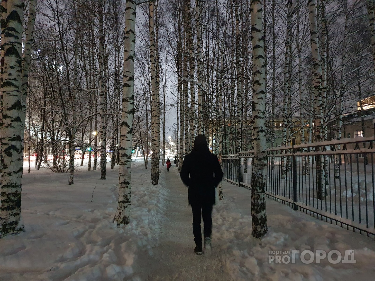 Синоптики рассказали о предстоящей погоде в Кирове на 18 и 19 декабря