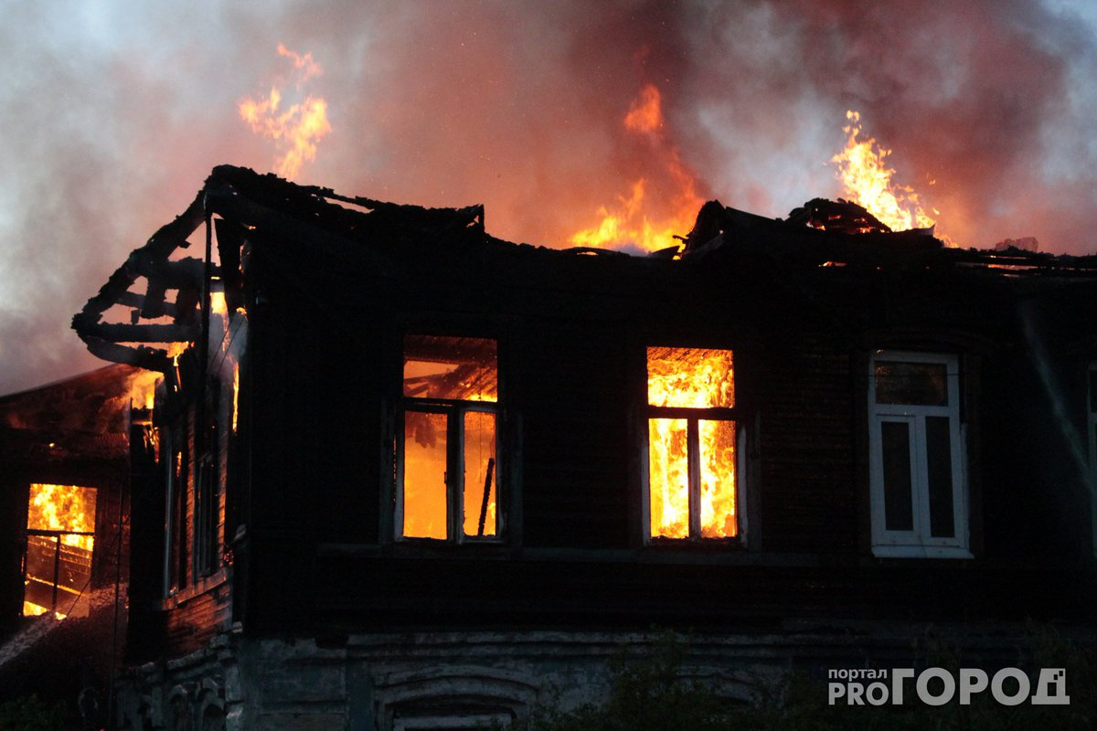 Благодаря кошке жителю Кировской области удалось спастись от пожара