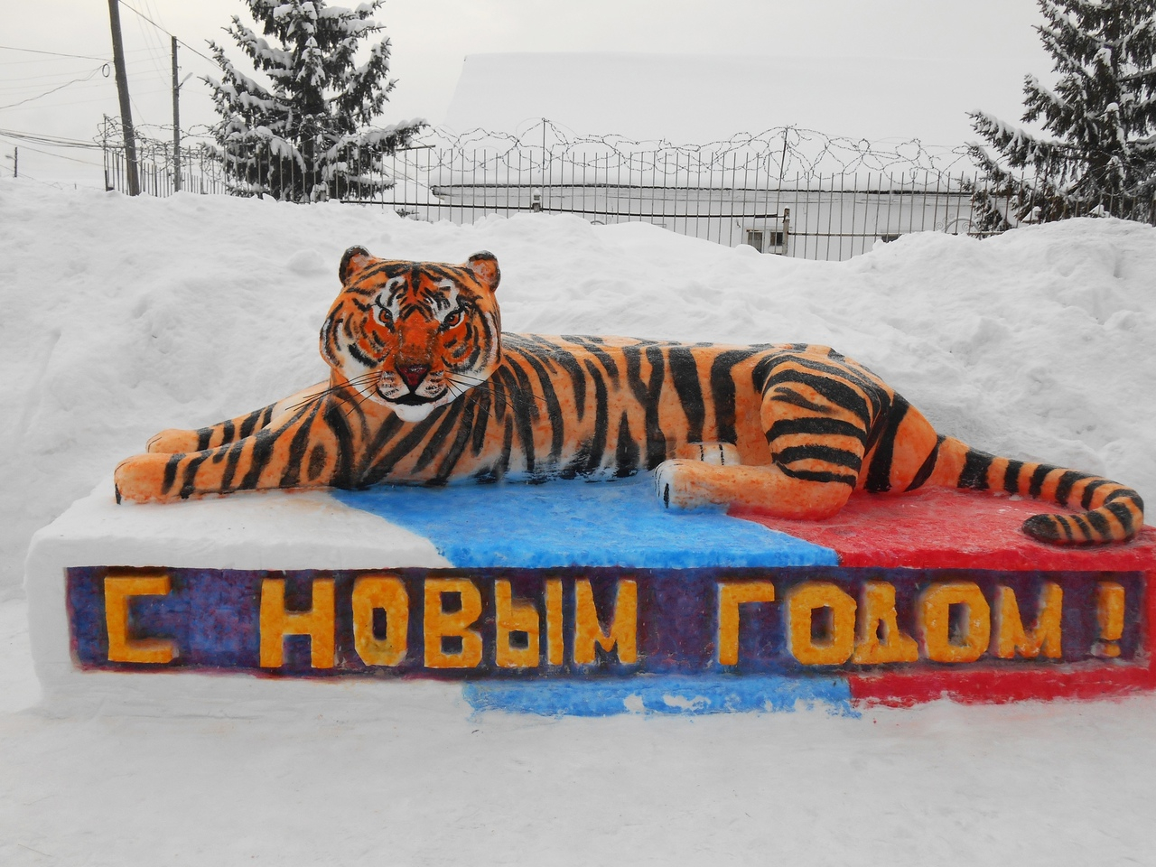 В колониях Кировской области появились тигры, медведи и миньоны