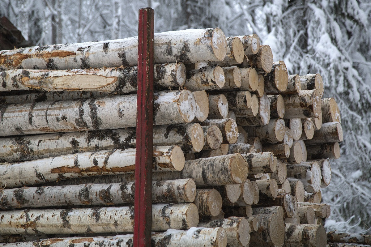 Segezha Group расширяет парк лесозаготовительной техники  в Кировской области