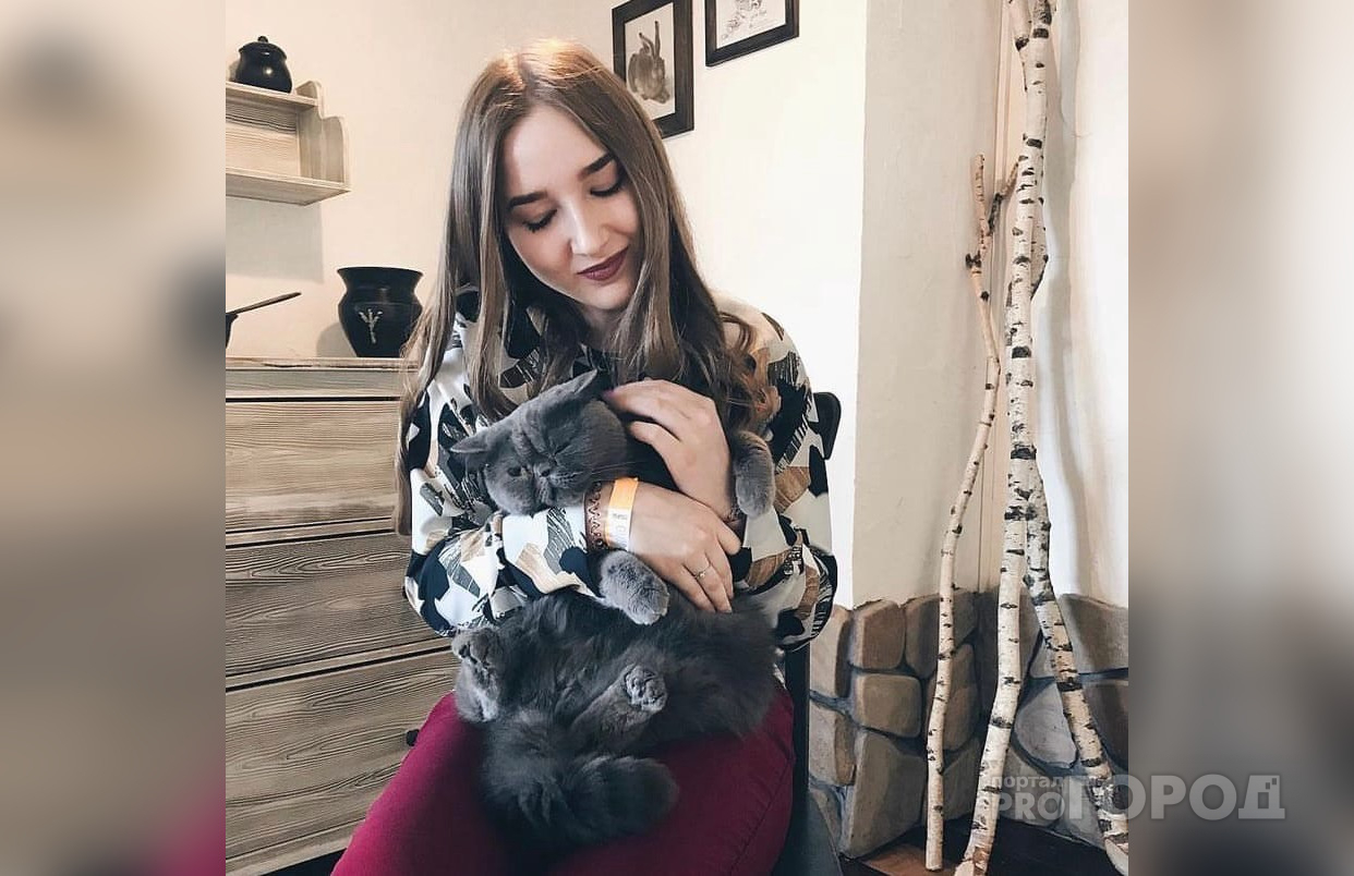 35 тысяч рублей за любовь: за сколько в Кирове можно купить породистого котенка
