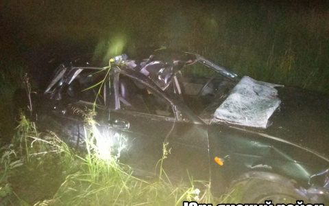 На трассе «Вятка» «Приора» наехала на лося: в ДТП пострадали двое детей