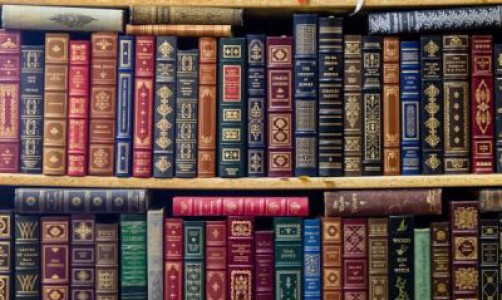 Топ - 10 самых популярных в Кирове книг