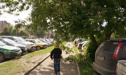 Видео: в центре Кирова прохожие из-за нависшей сломанной ветки вынуждены ходить по газонам