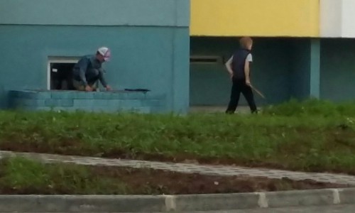 В Чистых прудах школьники кидали в кошку камни и пытались проткнуть ее шампуром