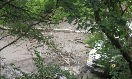 В Лянгасово упавшее дерево перегородило дорогу автомобилям и автобусам: образовался затор