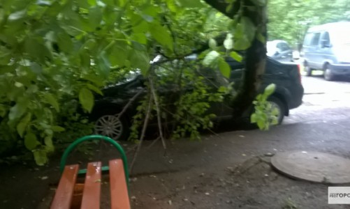 Во дворе на улице Монтажников на иномарку упало дерево