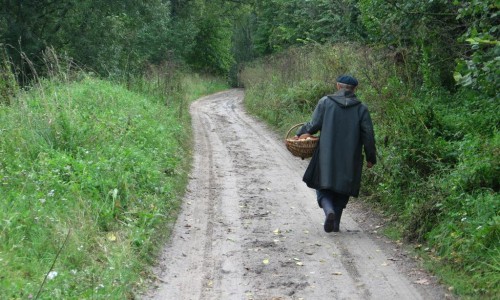 В Кировской области сутки разыскивают заблудившегося в лесу пенсионера