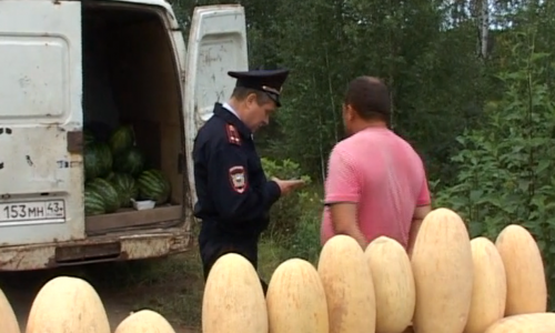 В Кирове полицейские провели "рейд по арбузам и дыням"