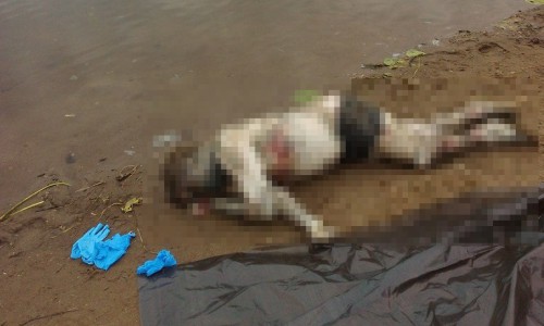 В Кирове из пруда достали тело неизвестного мужчины со свастикой на ноге