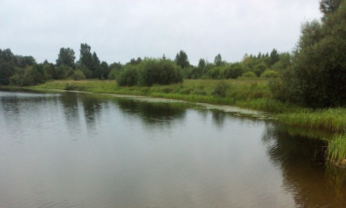 На предстоящей неделе в Кирове будет прохладно