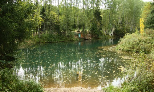 В Кировской области в пруду утонул 4-летний малыш