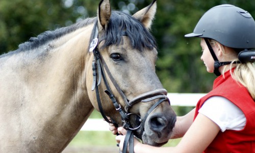 Фоторепортаж: в Кировской области прошли уникальные конные соревнования