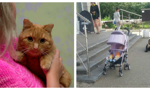 Что обсуждают в Кирове этим утром: издевательства в семье и интервью с "чайлдфри"